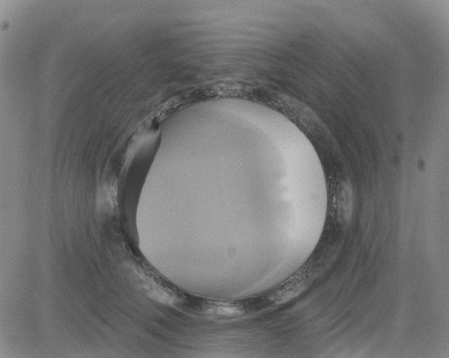 X0000084020610200703022059