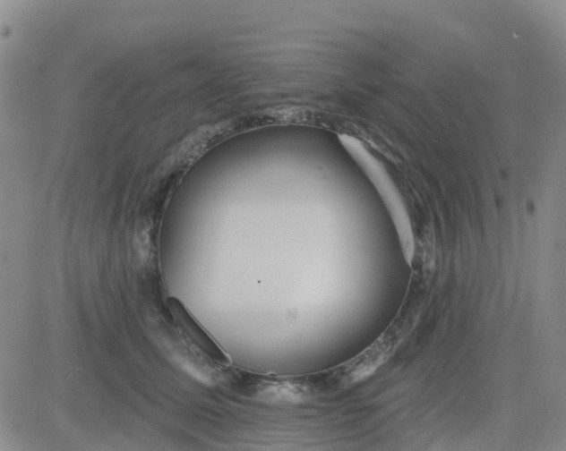 X0000084020611200703022059