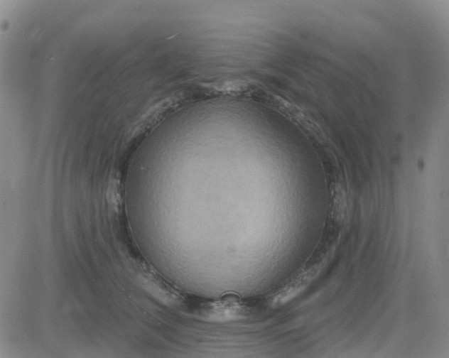 X0000084020612200703022059