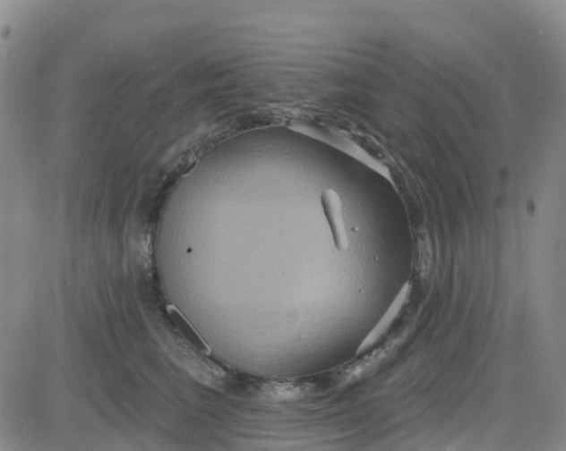 X0000084020613200703022058