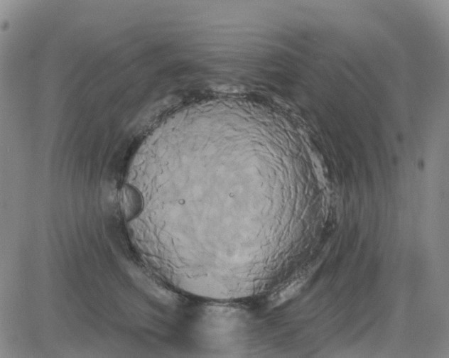 X0000084020614200703022058