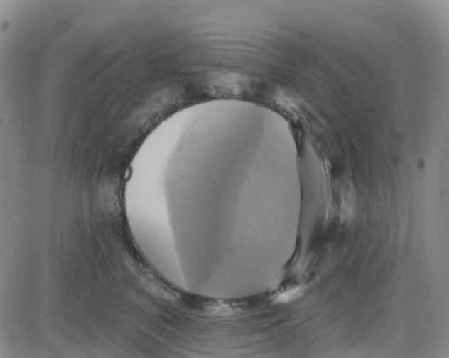 X0000084020616200703022058