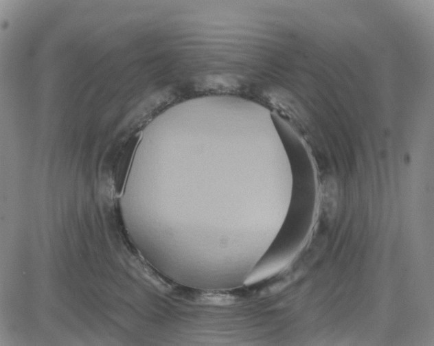 X0000084020617200703022058