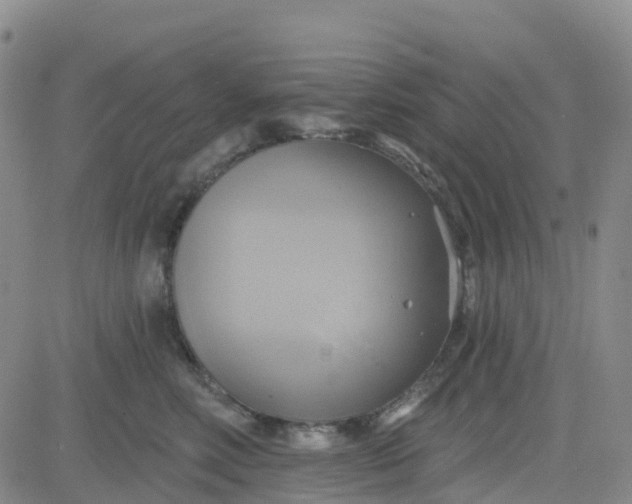 X0000084020618200703022058