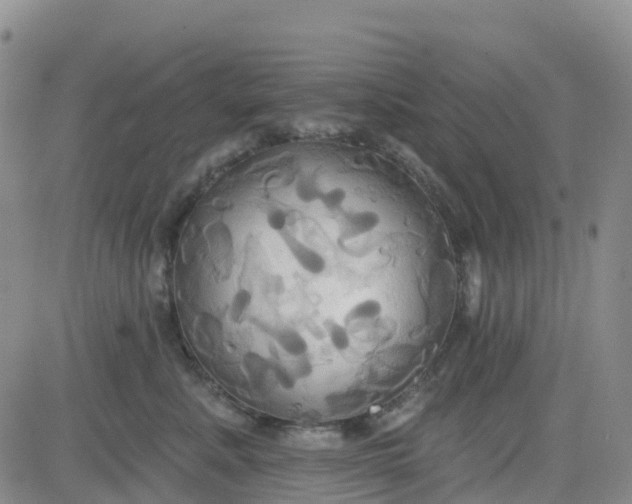 X0000084020619200703022058