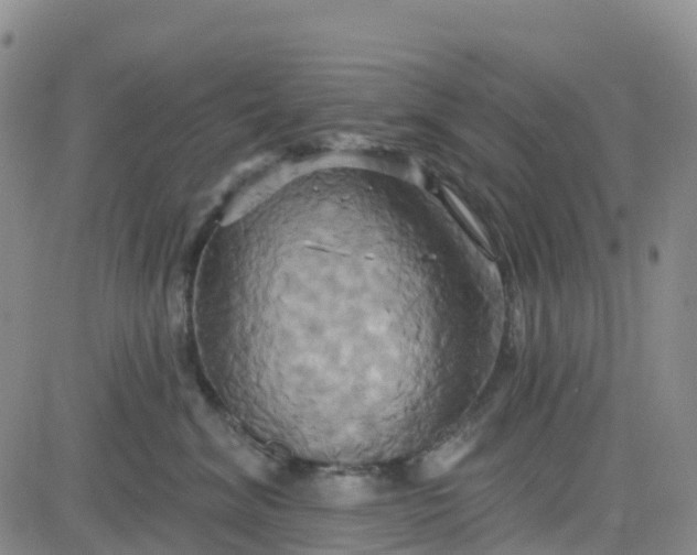 X0000084020620200703022058