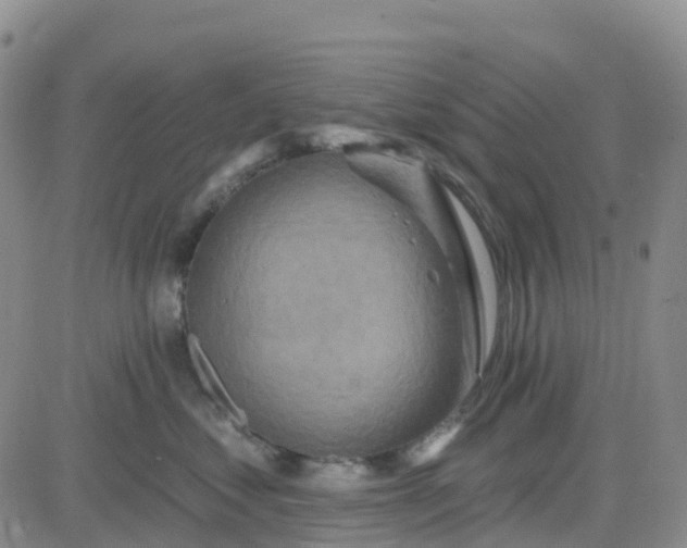 X0000084020621200703022058