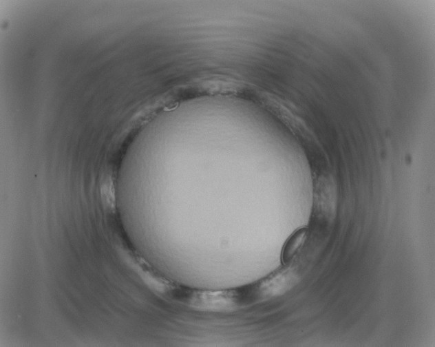 X0000084020622200703022058