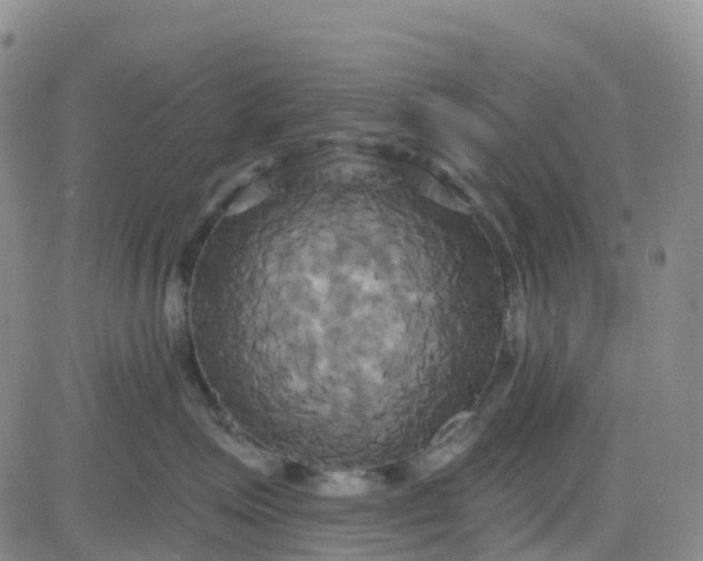 X0000084020623200703022058