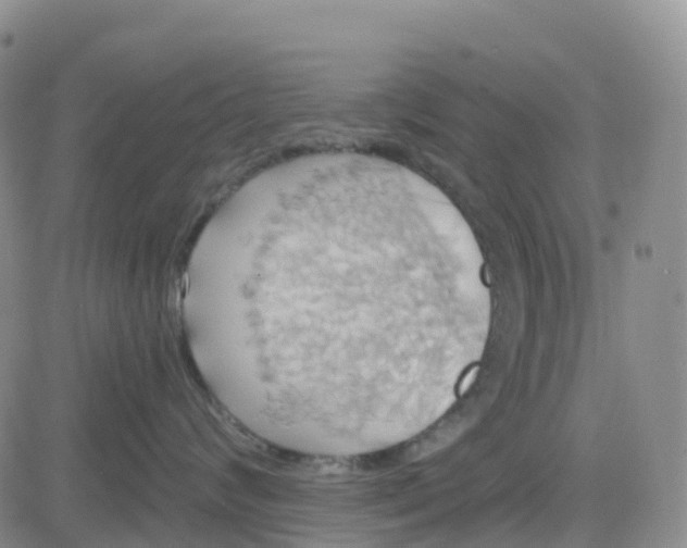 X0000084020624200703022058