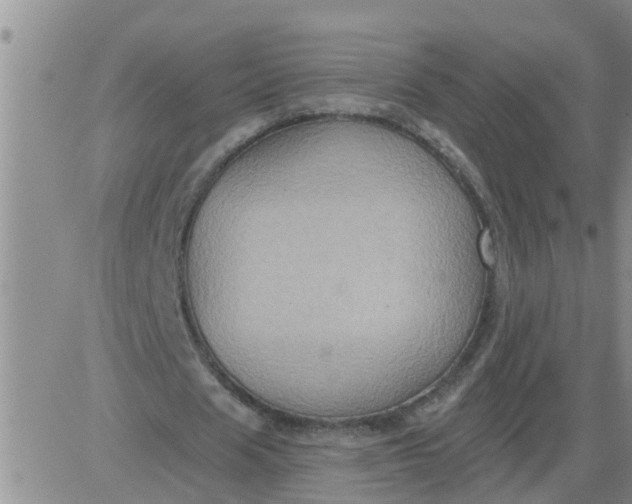 X0000084020625200703022058