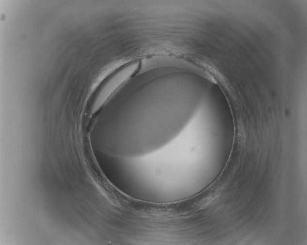 X0000084020626200703022058