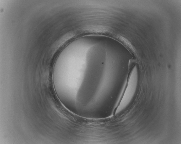 X0000084020627200703022058