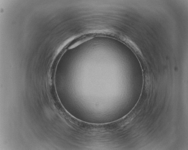 X0000084020628200703022058