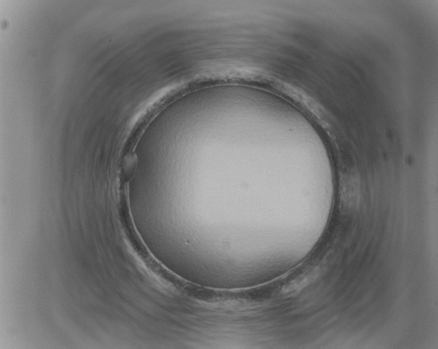 X0000084020629200703022058