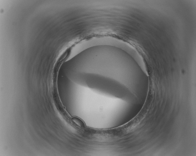 X0000084020630200703022058