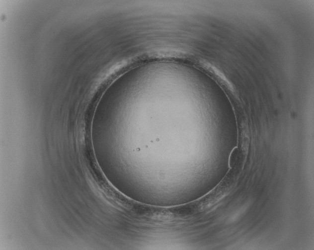 X0000084020631200703022058