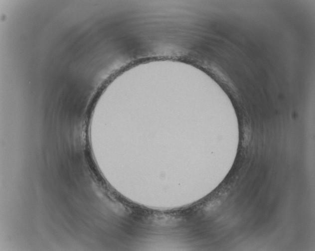 X0000084020632200703022058