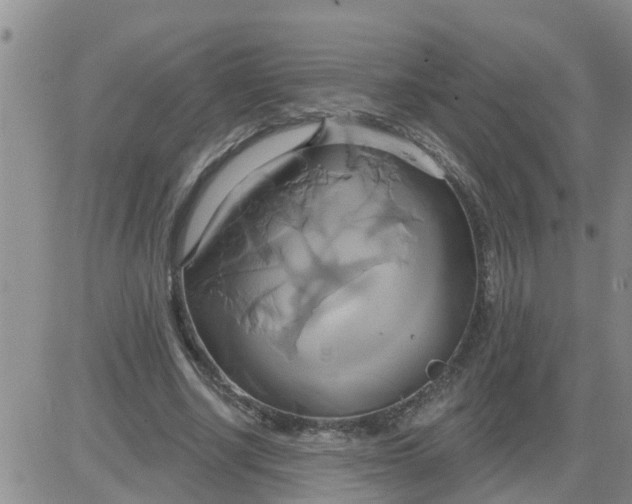 X0000084020634200703022058