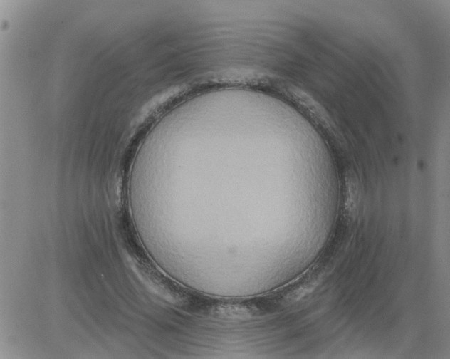 X0000084020636200703022058