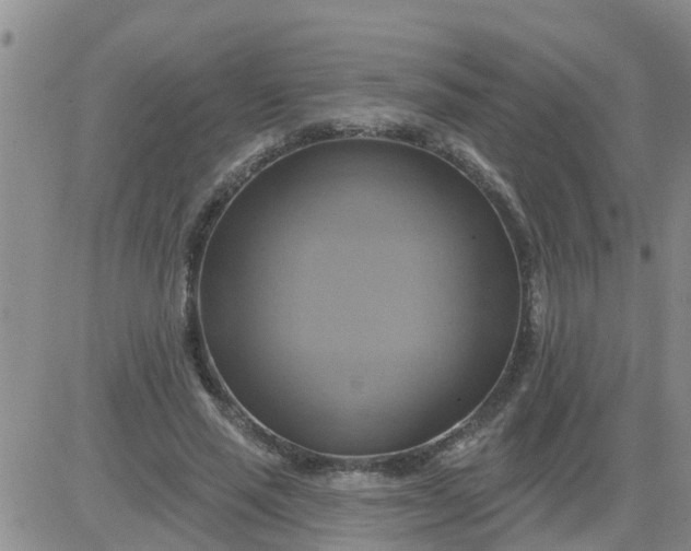 X0000084020637200703022058