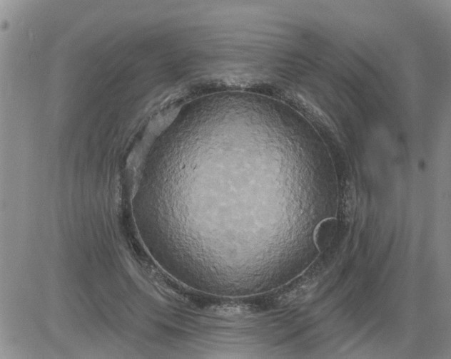 X0000084020639200703022058