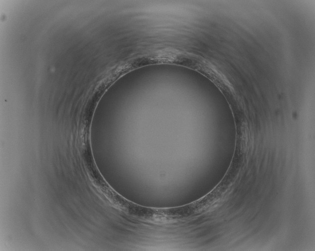 X0000084020641200703022058