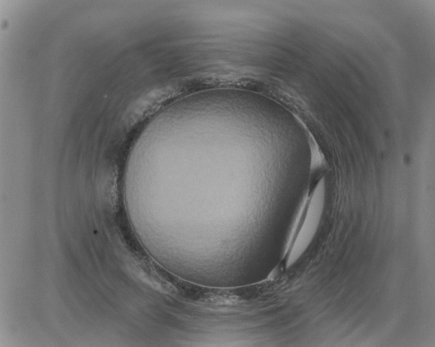 X0000084020642200703022058