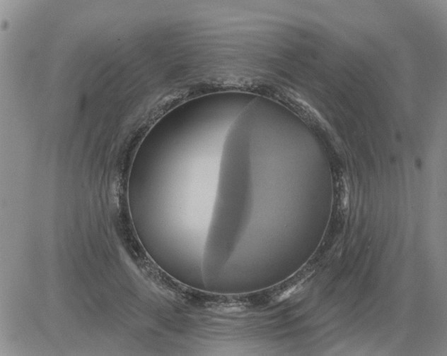 X0000084020643200703022058