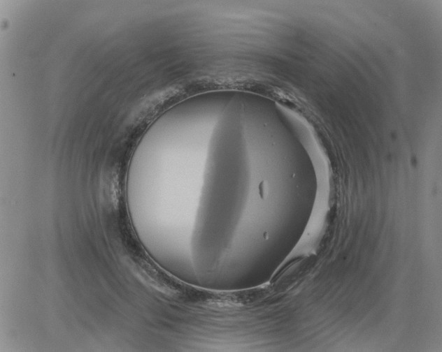 X0000084020644200703022058