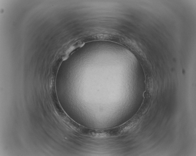 X0000084020645200703022058