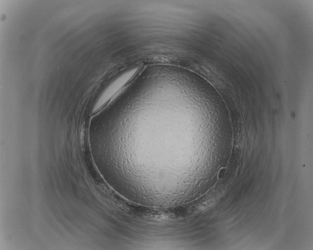 X0000084020646200703022058