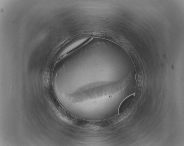 X0000084020648200703022058