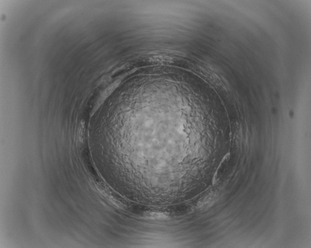 X0000084020649200703022058