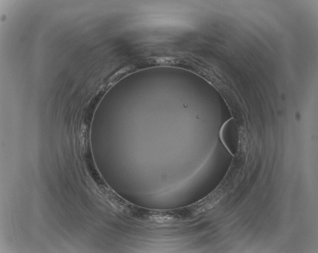 X0000084020650200703022058