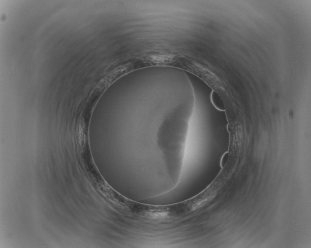 X0000084020651200703022058