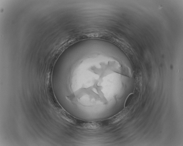 X0000084020652200703022058