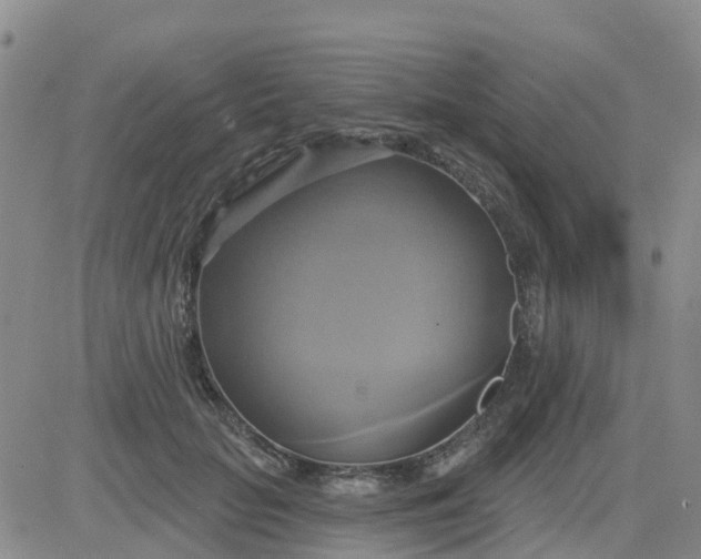 X0000084020653200703022058