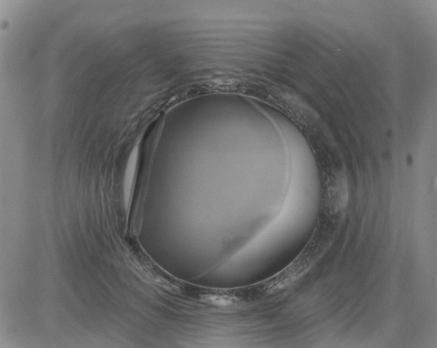 X0000084020654200703022058