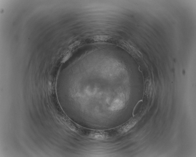 X0000084020655200703022058