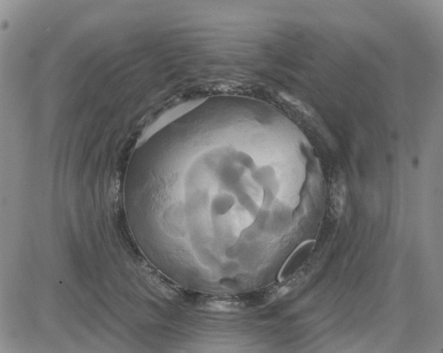 X0000084020657200703022058