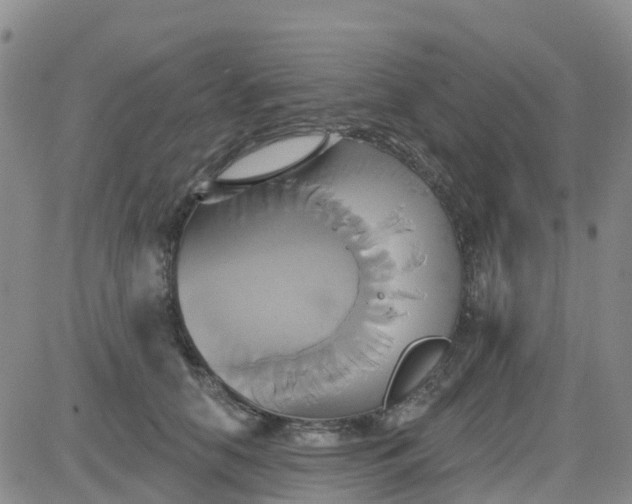 X0000084020658200703022058