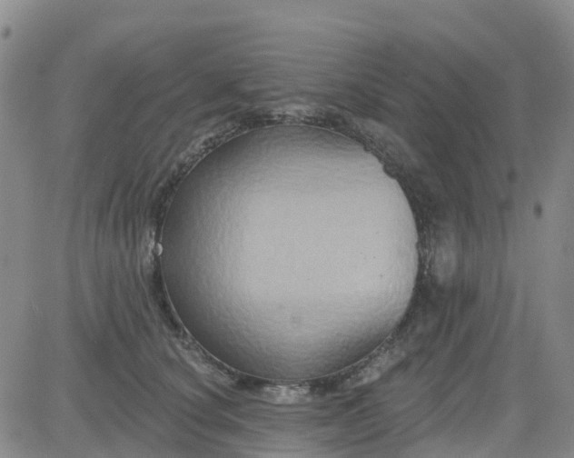 X0000084020660200703022058