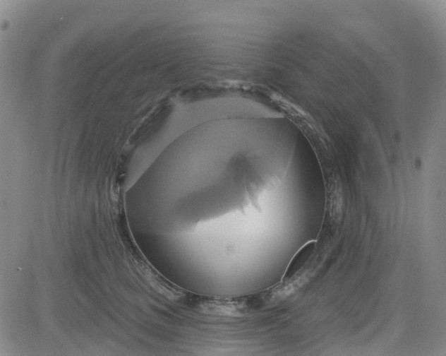 X0000084020661200703022058