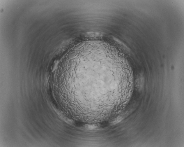 X0000084020662200703022058