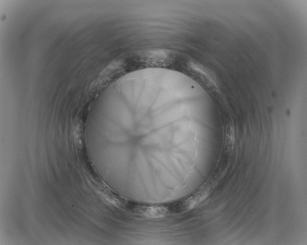 X0000084020663200703022058