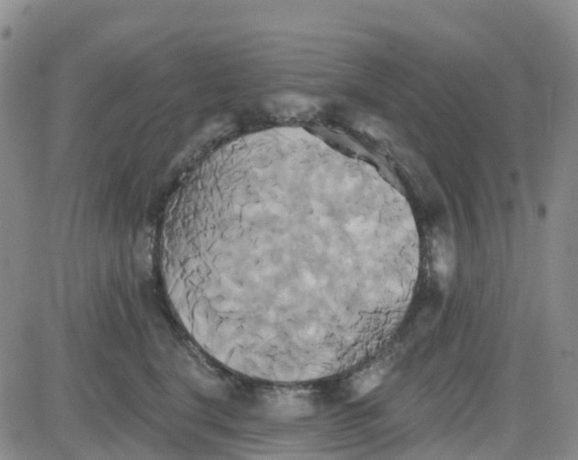 X0000084020664200703022058