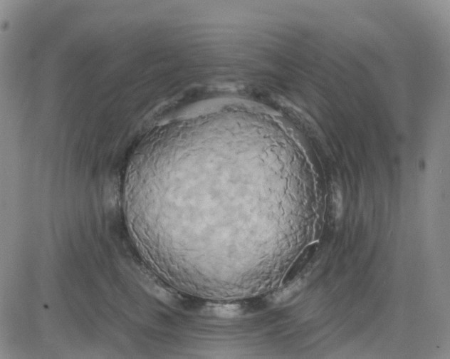 X0000084020665200703022058