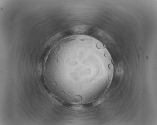 X0000084020666200703022058