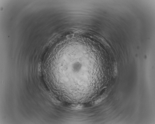 X0000084020667200703022058